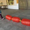 IMG_6444