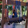 IMG_6522