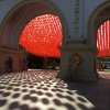 IMG_6586