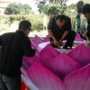 Image00002